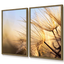 Kit com 2 quadros florais dente de leão, pôr do sol dourado, moldura caixinha em 4 cores, ideal para salas e quartos modernos.