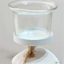 Castical Decorativo Estrela do Mar Casa Splendida