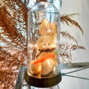 Luminária de Páscoa Coelho