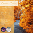 Vela Aromática Cascas e Folhas com Pavio de Madeira | Casa Splendida