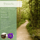 Vela Aromática Floresta com Pavio de Madeira | Casa Splendida